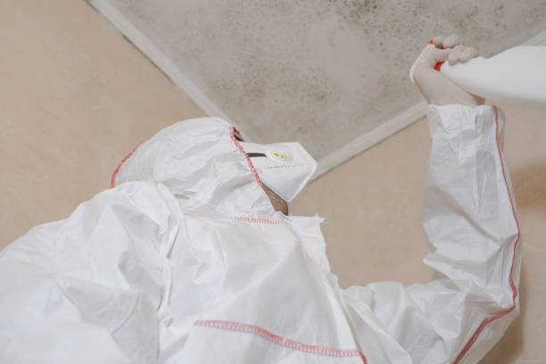 Best Insurance-Related Mold Remediation in Milledgeville, GA