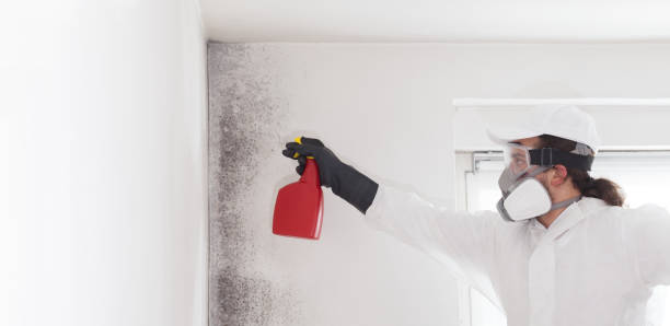 Best Emergency Mold Remediation in Milledgeville, GA