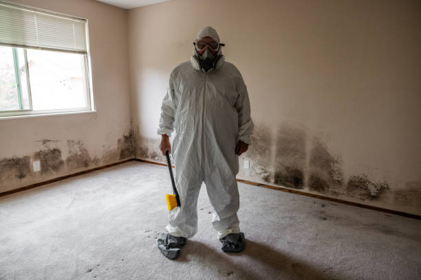 Best Residential Mold Remediation in Milledgeville, GA